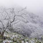 Kältewellen – Wenn der Winter zuschlägt